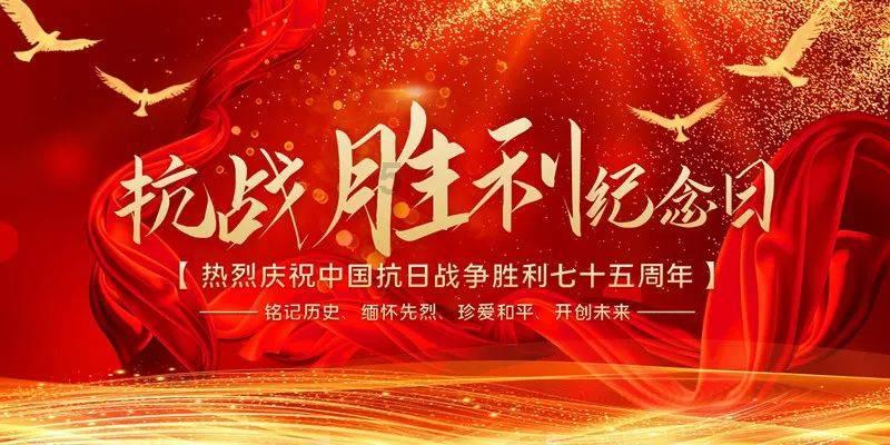 萌宠好又多