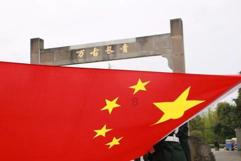 膀胱癌｜让生命之树常青——郑州传承中医肿瘤医院